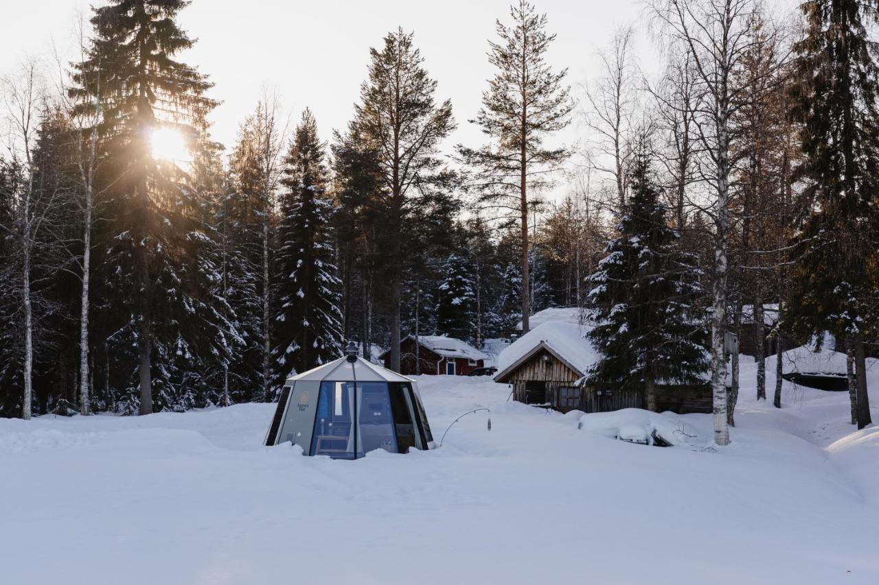 Ollero Eco Lodge Rovaniemi Eksteriør bilde