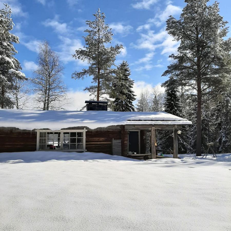 Ollero Eco Lodge Rovaniemi Eksteriør bilde